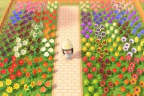 สวนดอกไม้ (Garden System): พื้นที่ปลูกความสุขและกิจกรรมที่ไม่ควรพลาด